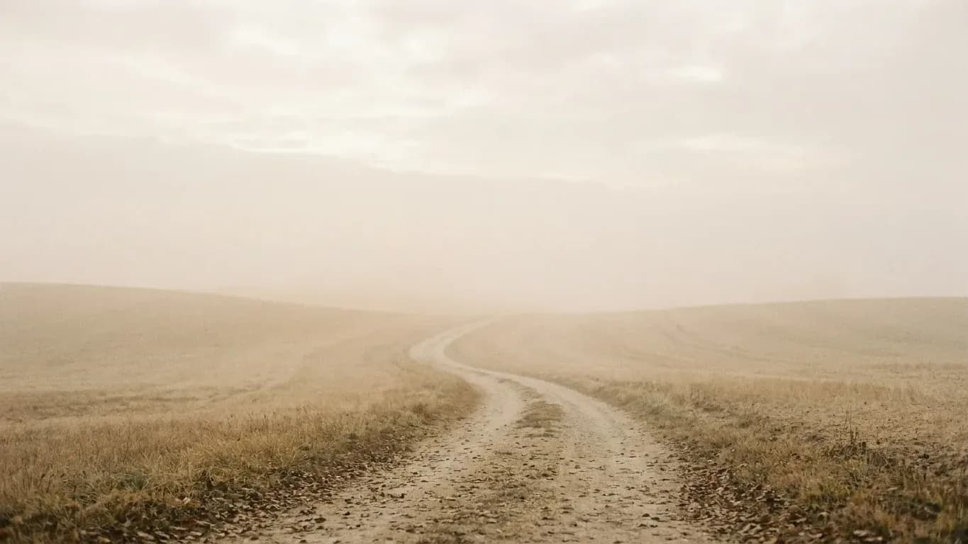 The Long Middle